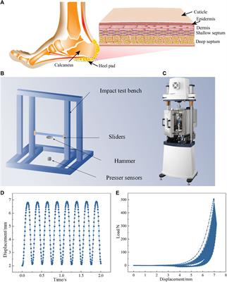 Effects of extreme cyclic loading on the cushioning performance of human heel pads under engineering test condition